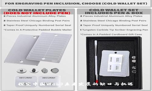 探究中国Web3未来发展的缺口与机遇