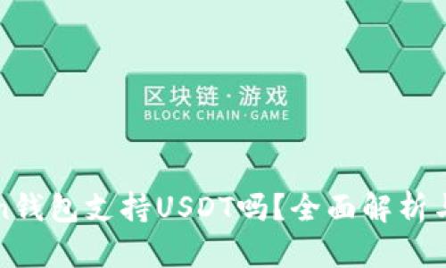 : imToken钱包支持USDT吗？全面解析与使用指南
