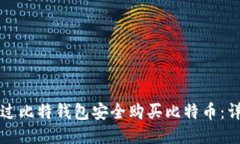 如何通过比特钱包安全购