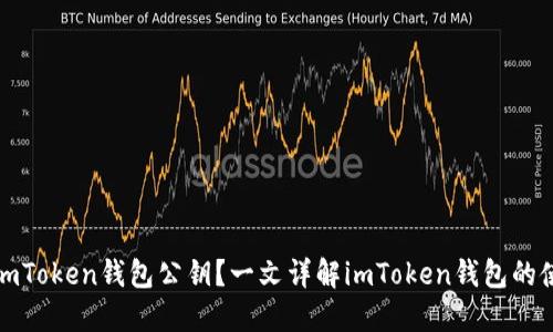 如何查询imToken钱包公钥？一文详解imToken钱包的使用与安全