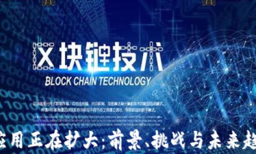 
Web3应用正在扩大：前景、挑战与未来趋势分析