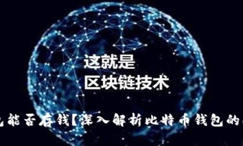 比特币钱包能否存钱？深入解析比特币钱包的功能与应用