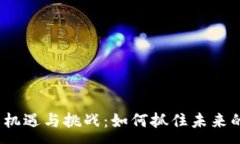 :海外Web3融资的机遇与挑战