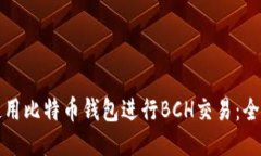 如何使用比特币钱包进行