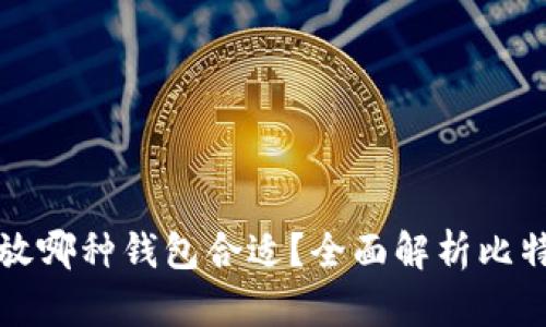 买了比特币放哪种钱包合适？全面解析比特币钱包选择