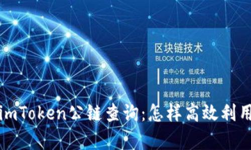 全面解析imToken公链查询：怎样高效利用公链信息