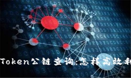 全面解析imToken公链查询：怎样高效利用公链信息