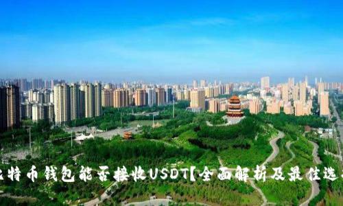 比特币钱包能否接收USDT？全面解析及最佳选择