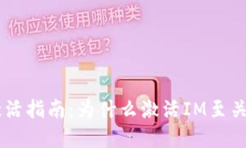 IM激活指南：为什么激活IM至关重要